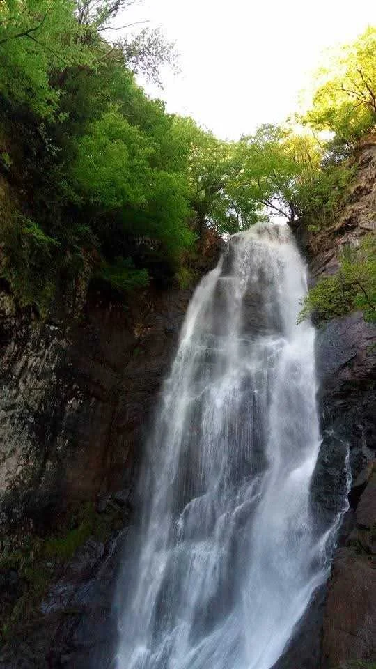 Tall waterfall flowing down a rocky cliff surrounded by green trees