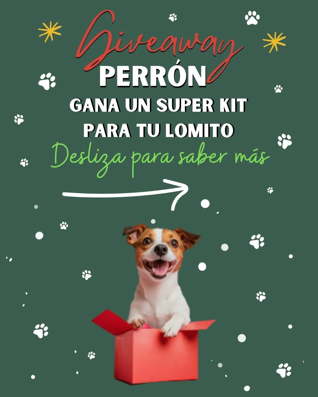 &iexcl;El Giveaway m&aacute;s perr&oacute;n del a&ntilde;o est&aacute; aqu&iacute;! ✨🎄🐾

C&oacute;mo participar:
1️⃣ Sigue estas cuentas:
@kanijo.mx 
@sabiandko 
@sanroquecerveceria 
@lutokysnacks 
@tinytails.mx 
@xami.petfood 
@pawysspa 
@tridzy_o