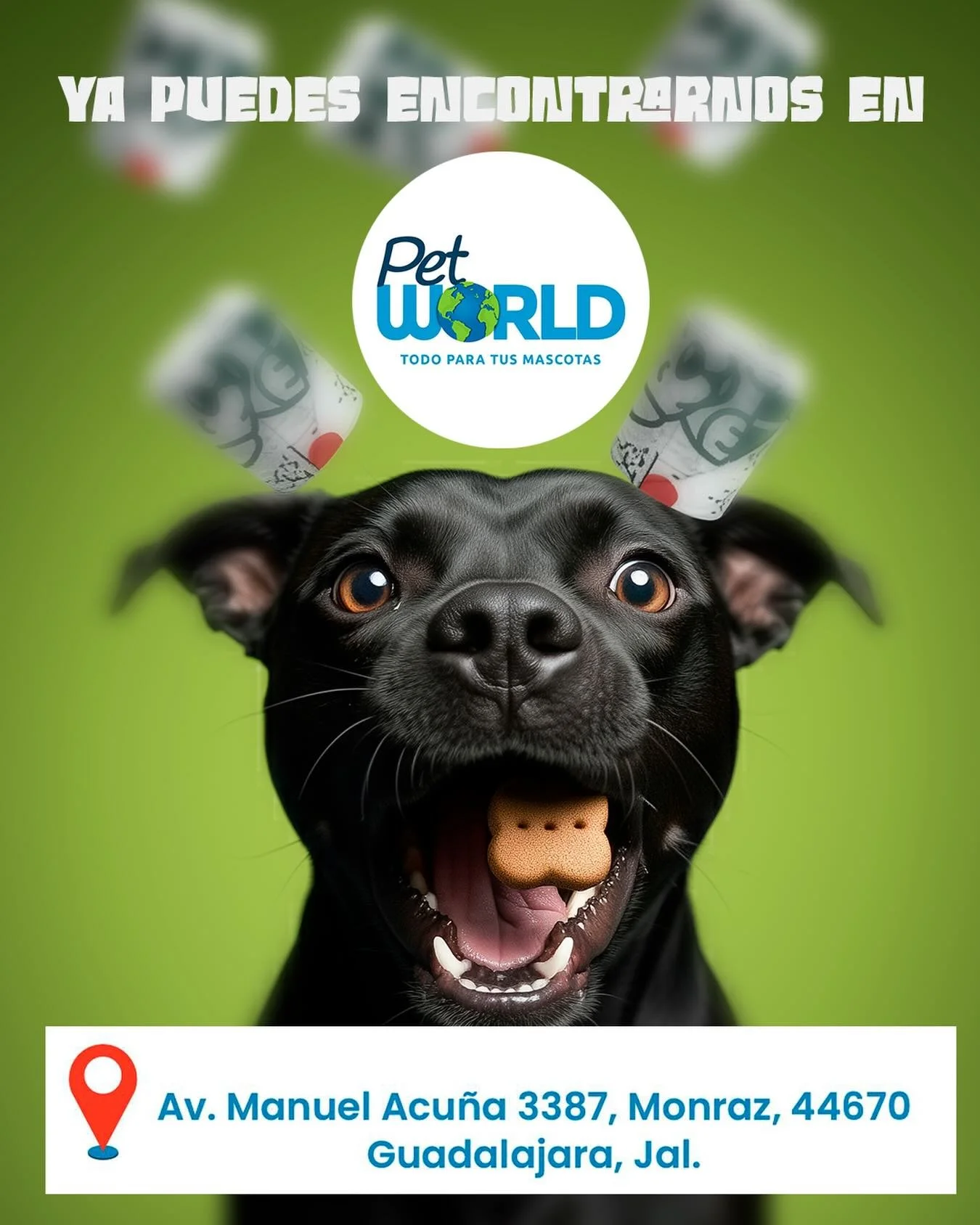 Nuevo punto de venta Kanijxs!! 🤟🏻🙌🏻
Nos pueden encontrar en @petworldgdl !!!