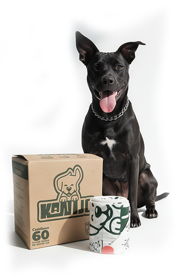 Black dog sitting next to a cardboard box and a white ceramic mug with black graffiti-style designs against a white background.