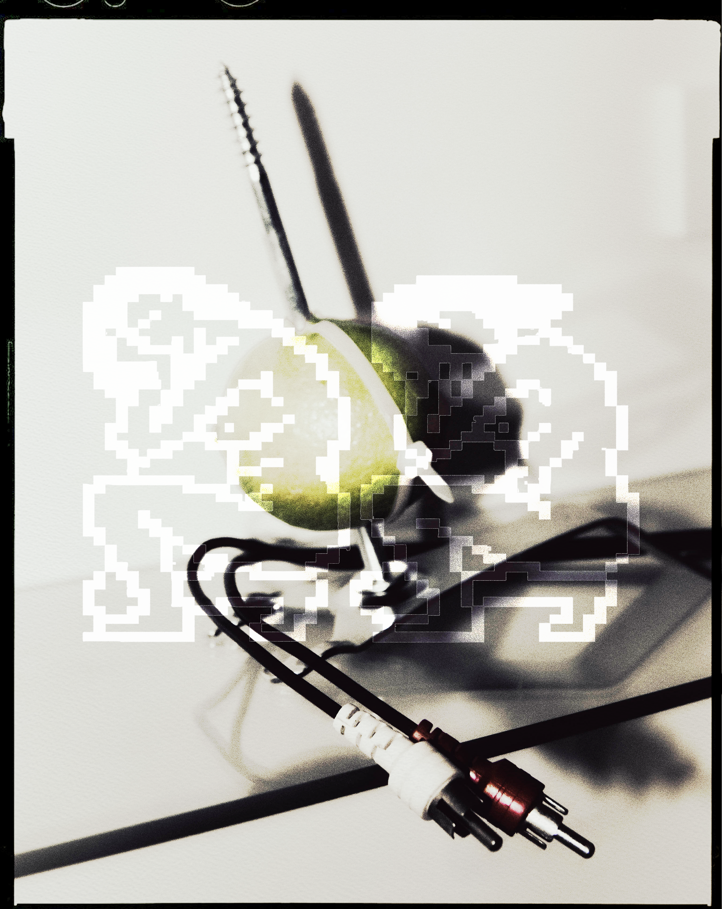 IMG_9831.png