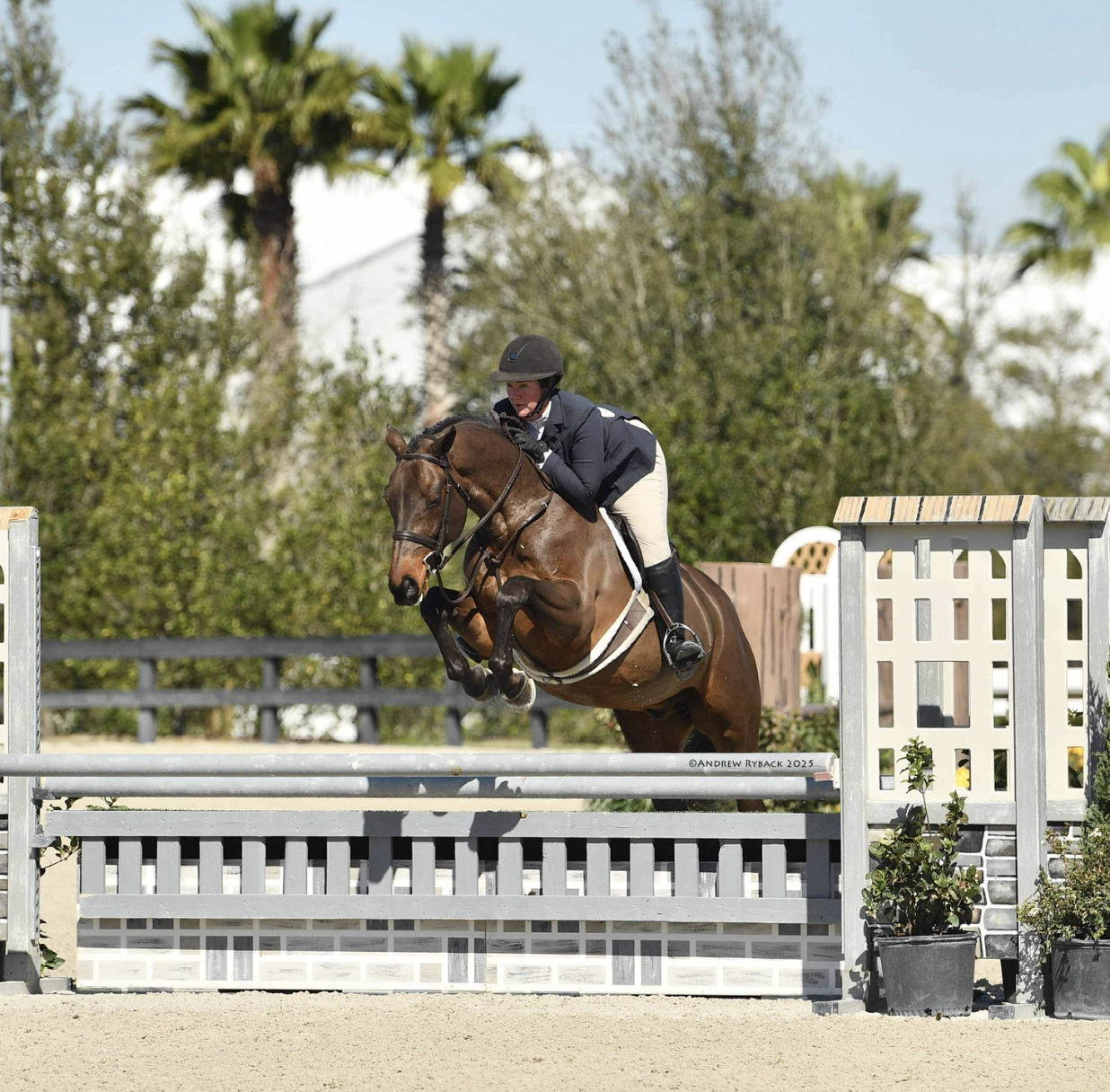 A person riding a brown horse during a jumping competition, jumping over a white fence with fencing and greenery in the background.