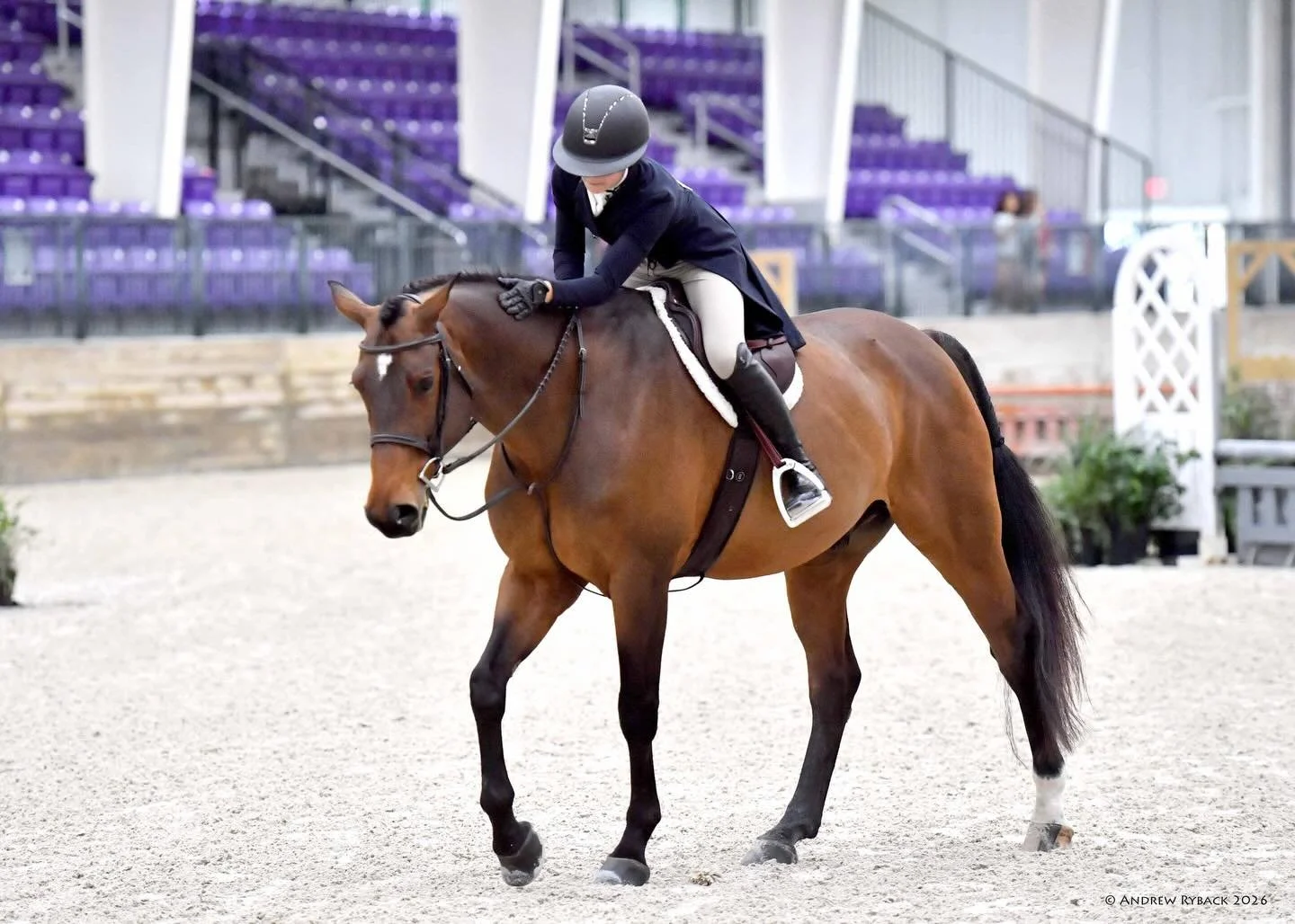 Brooklyn rocked her first trip to WEC Ocala 🎉 

Week 7 ✨ great ribbons in the low children&rsquo;s eq and hunters on Soul Food! Thanks @eastmansmith for the ride on the amazing Drake!

Week 8 💫 Crushed the first week showing her new horse SO SPECIA