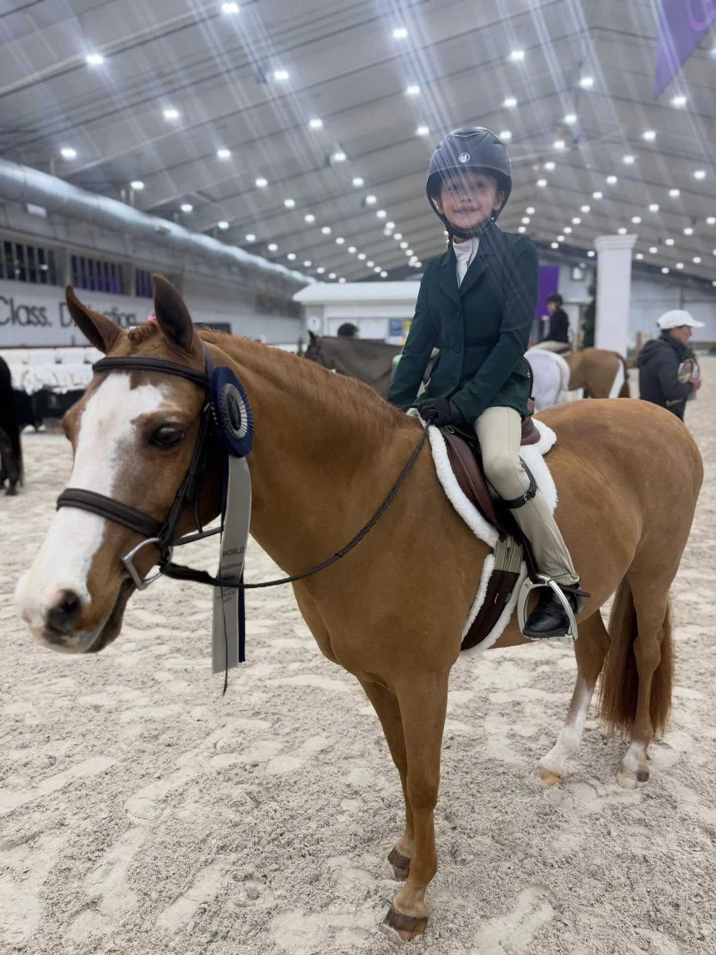Our flat class 👑QUEENS 👑 here ! 👏👏👏👏👏

In two weeks, 7&amp;8 of WEC Ocala, Maddy Gaskins and Durley Hall Miss Money Penny won 3/4 of their flat classes and the 4th was a second! 🥇🥇🥇🥈Whether it was the the hack or equitation these two rose 