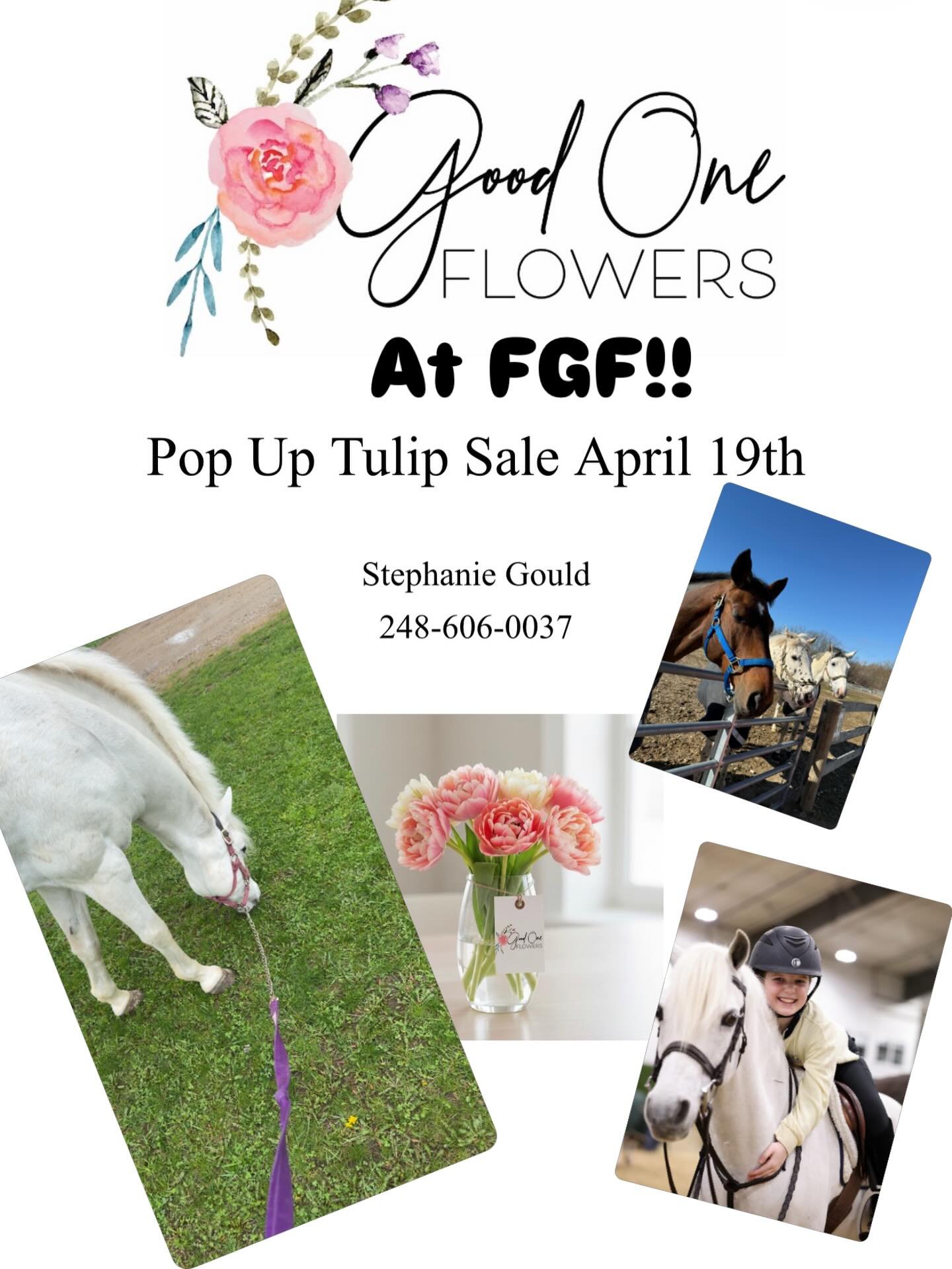 🌷🌷What&rsquo;s better than a lesson and some fresh flowers! Shop Stephanie&rsquo;s {Pedro&rsquo;s owner} beautiful tulips at her pop up sale at FGF Sunday the 19th 🌷🌷