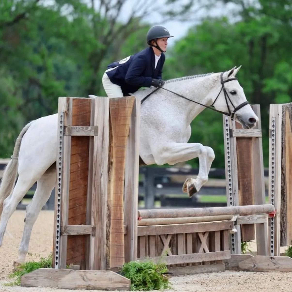 A very rainy Brave Horse II turned into a great one! We are so proud of all our riders for braving the rain! 🌧️ We had lots of fun in and out of the show ring as a barn family❤️ Lots of lessons learned and ribbons received! 

⭐️ High Five &amp; Step