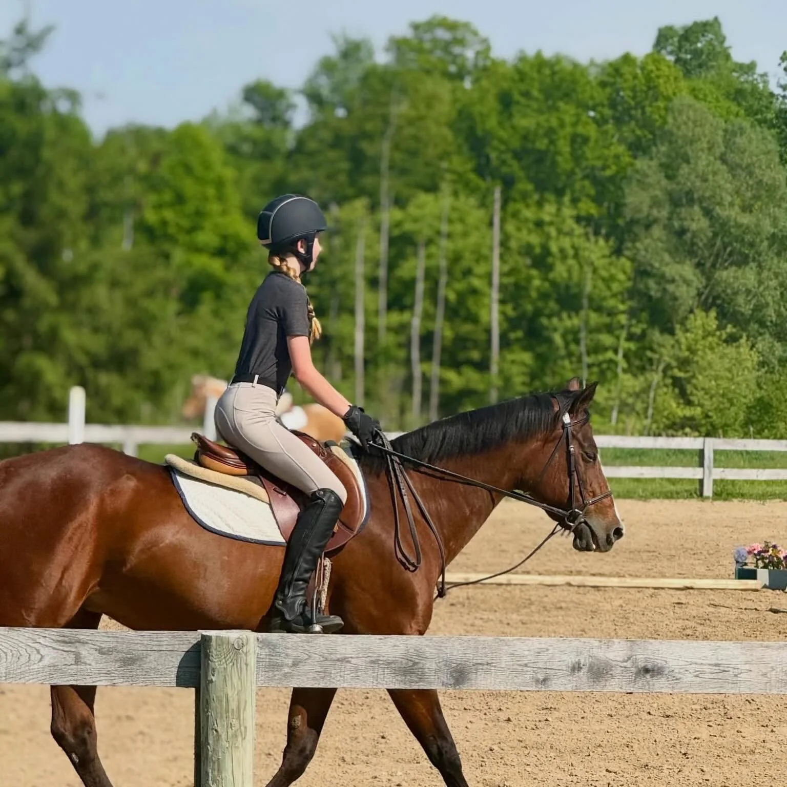 Meanwhile at home 🏡🐴📍❤️ 

Our lesson program is in full swing! The ponies and riders are enjoying the sunshine and fresh air! ☀️