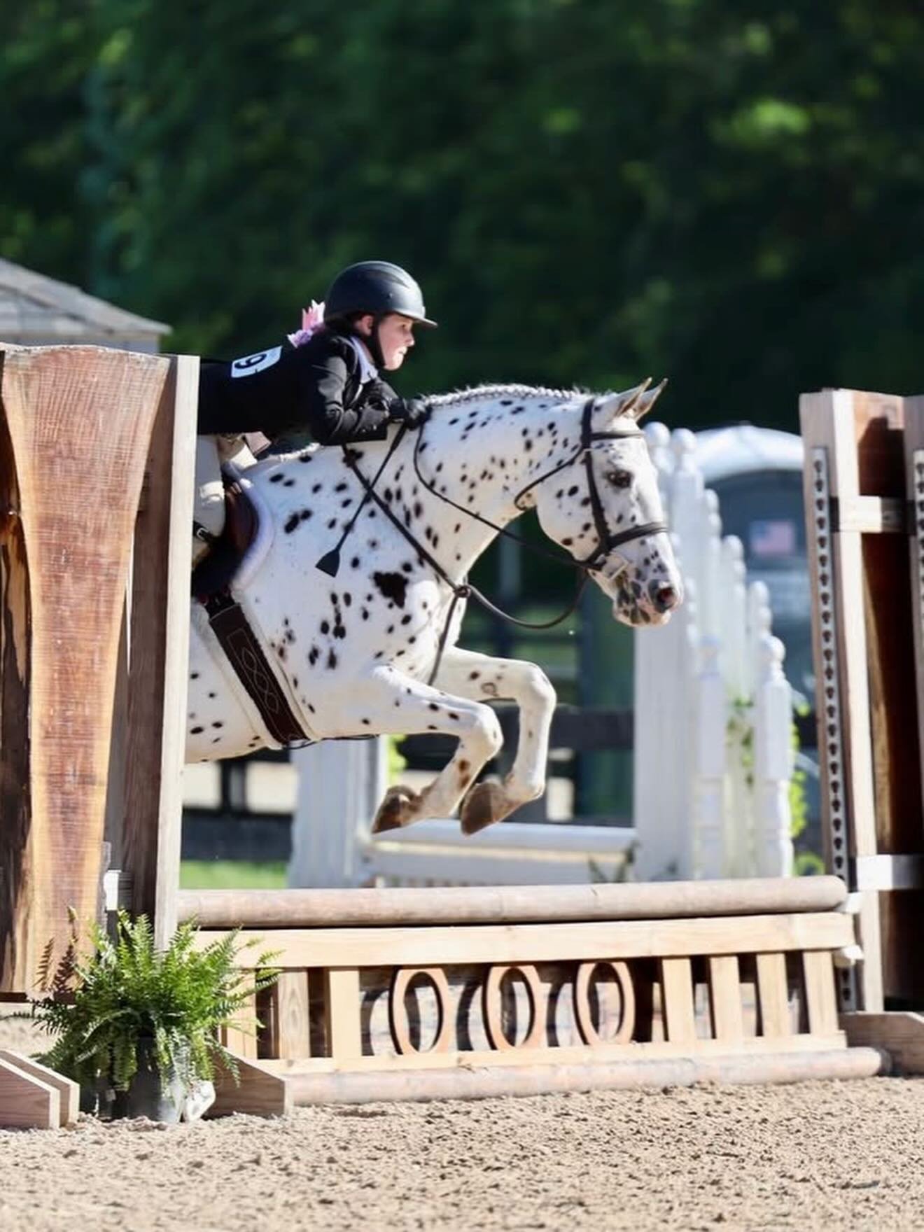 Nora Kalso earned 🥇 aboard Sticky Fingers in the 2ft Hunt &amp; Go Derby here at @bravehorseohio 🎉 Nora was also awarded with the Best Style ribbon out of a big group. We are so proud of you Nora! What great progress you have shown over the last we