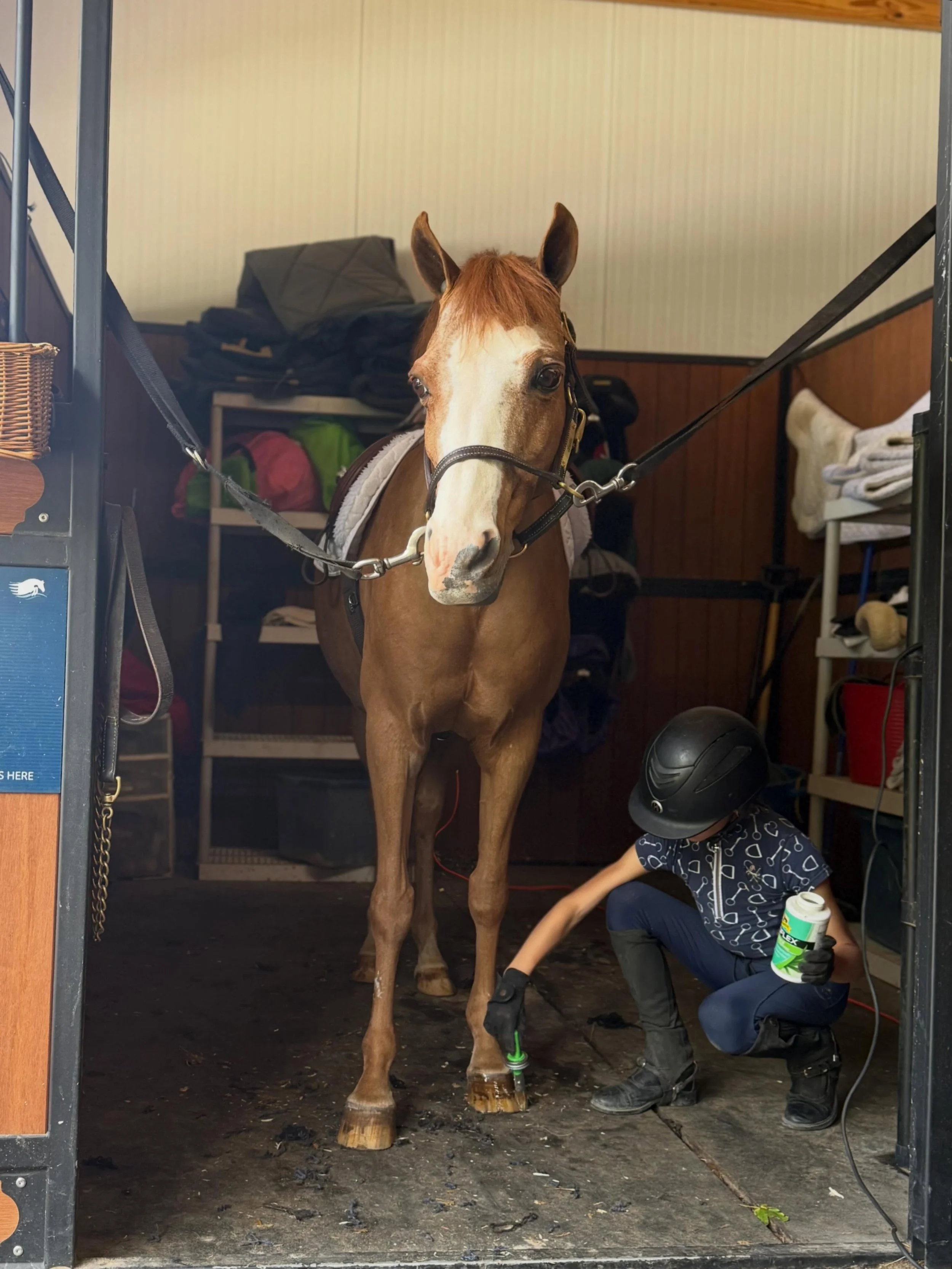 The ribbons are nice, but these moments matter more. Teaching the next generation that horsemanship starts long before they enter the show ring. From brushing coats, cleaning tack, and wrapping their ponies, these young riders are learning what it me