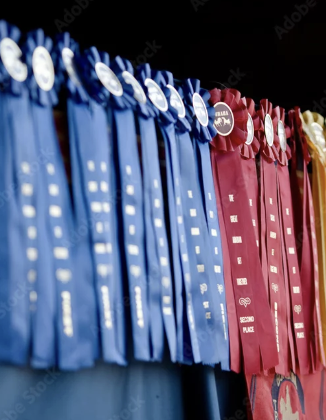 Set of blue and red award ribbons displayed together.