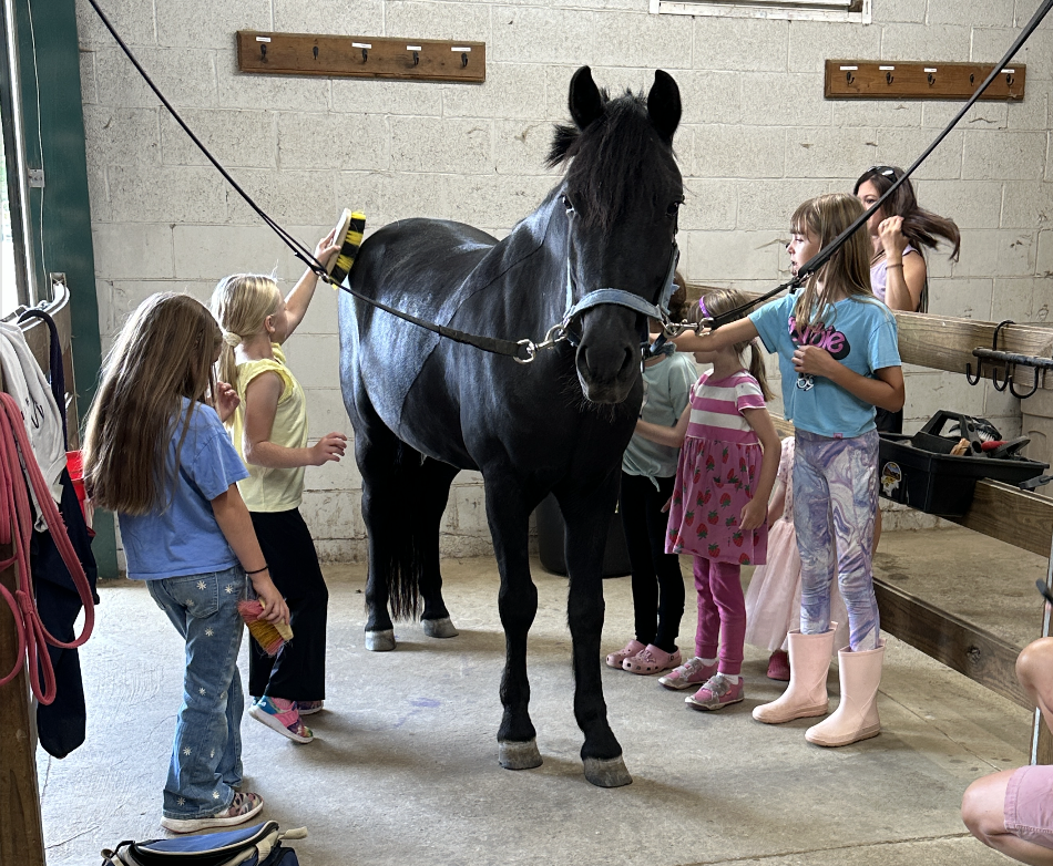 A group of children grooming a black horse in a stable.
