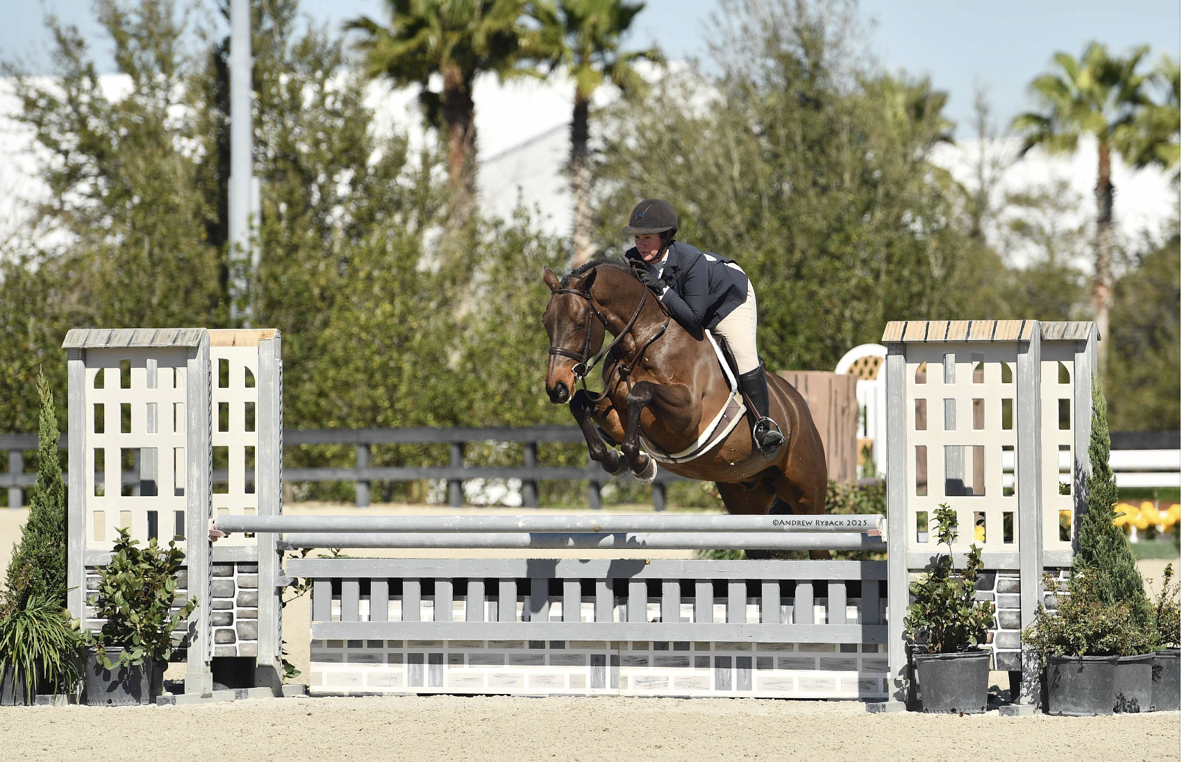 A rider in formal equestrian attire jumping over a fence on a brown horse during a show jumping competition, outdoors with trees and blue sky in the background.