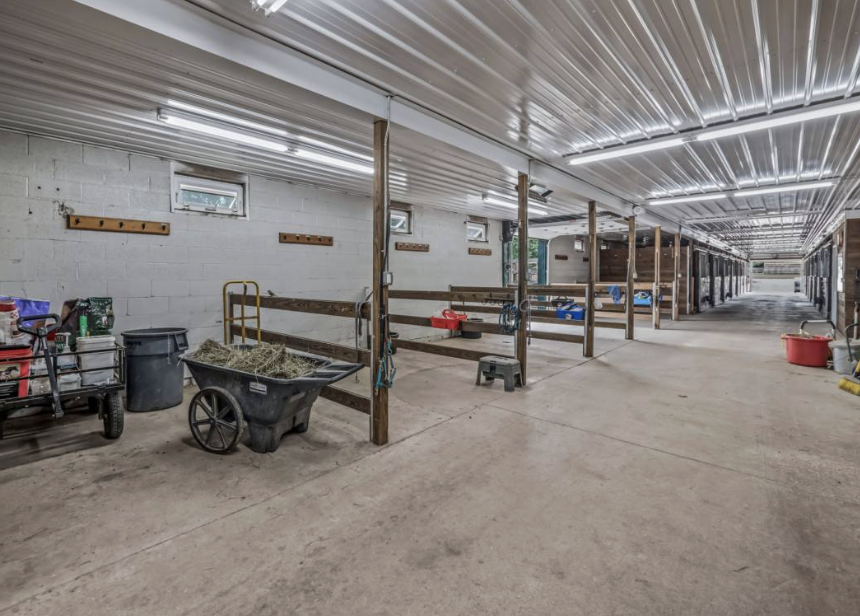 Empty horse stable with wooden partitions, grooming supplies on storage carts, wheelbarrows, and buckets in a well-lit, clean barn.