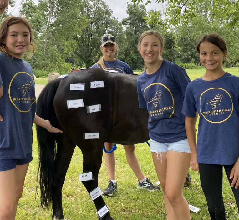 Group of four girls at a farm or outdoor setting, standing next to a horse with labeled anatomy tags.