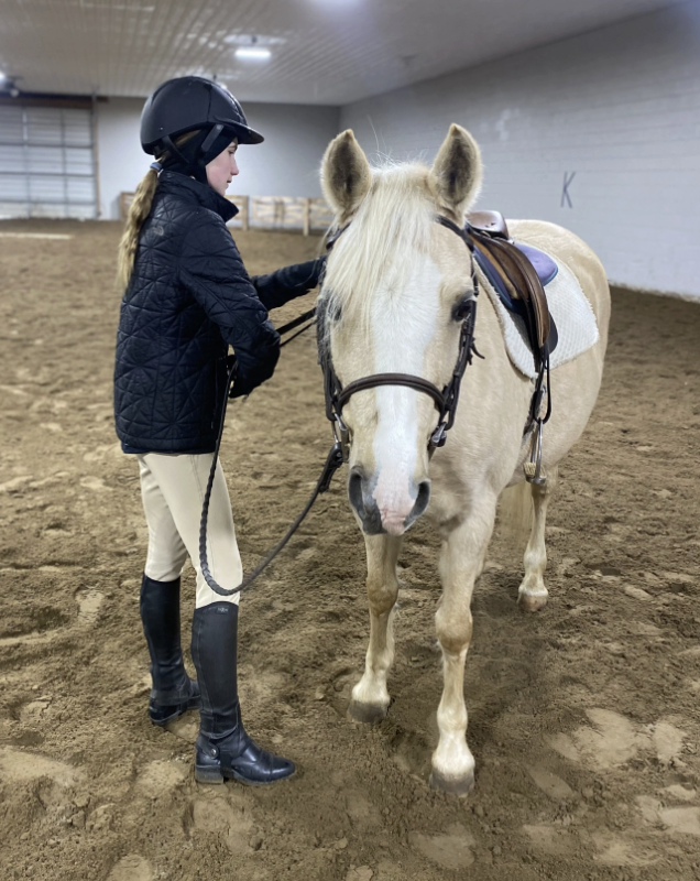 A person in riding gear holding the reins of a white horse inside an indoor riding arena.