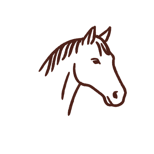 Line drawing of a horse's head and mane.