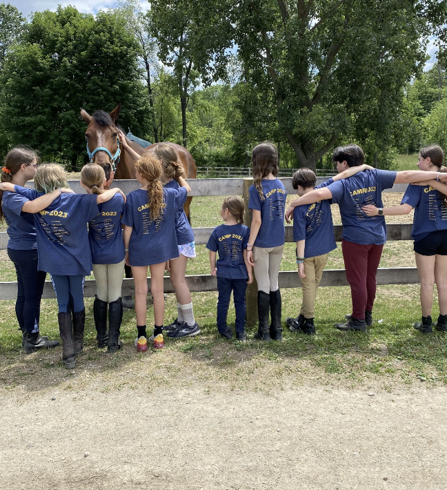 Group of children in blue t-shirts petting and observing a brown horse at a farm or petting zoo.