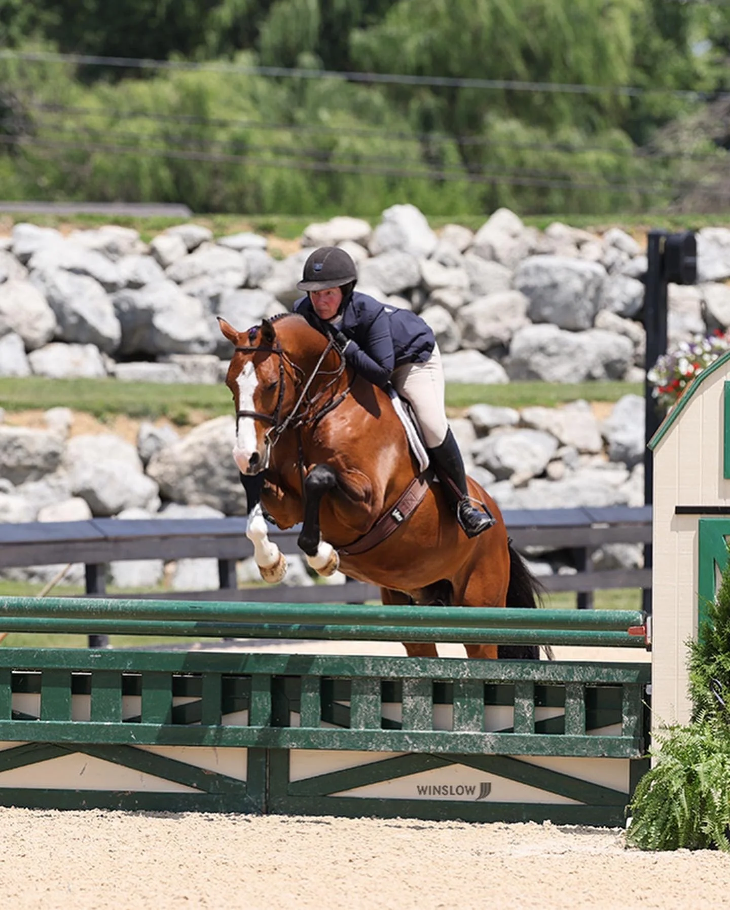 A person wearing a black riding helmet, dark jacket, and beige riding pants jumping over a green obstacle with a brown horse during an equestrian event.