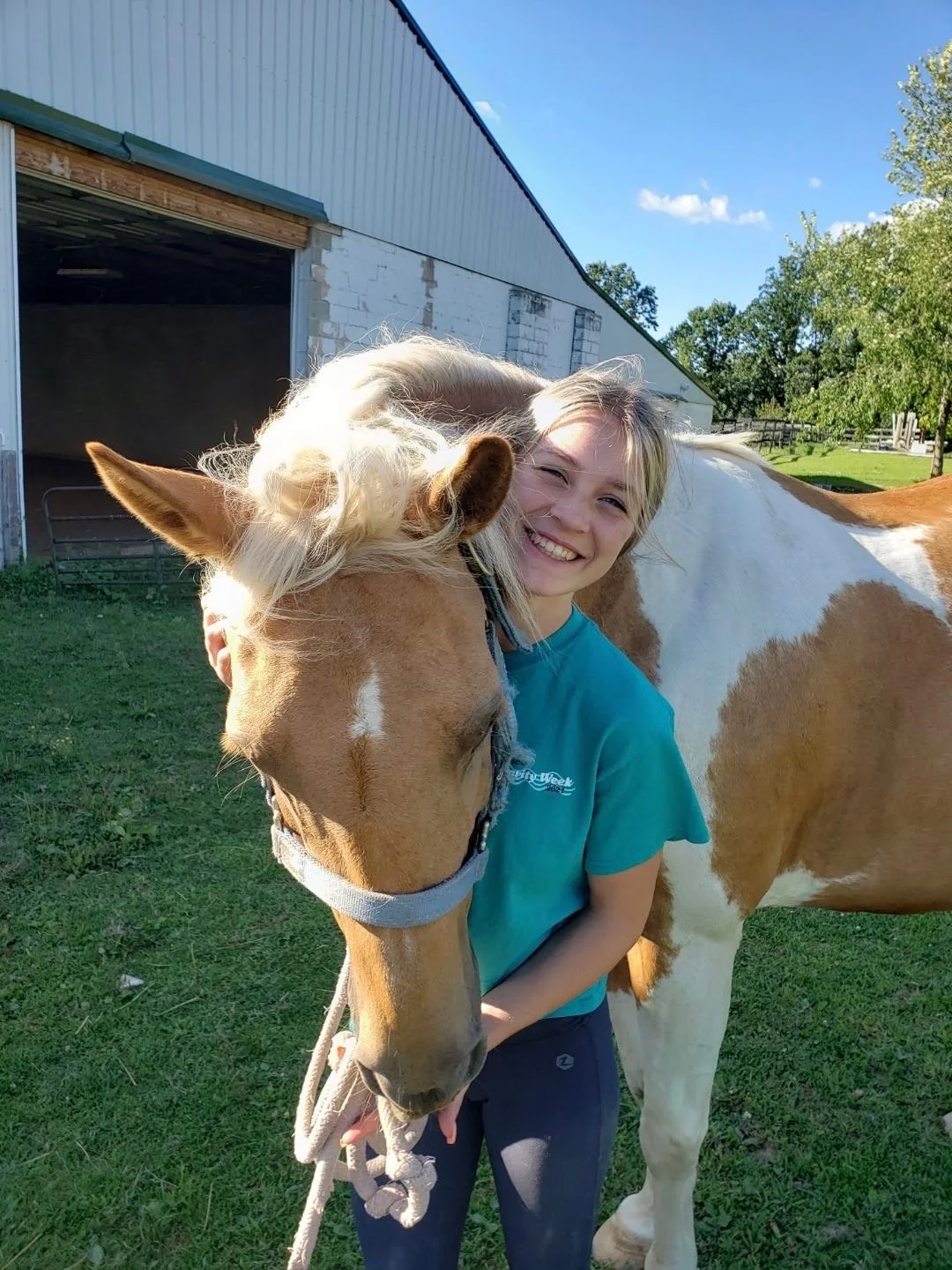 Modern house with wooden exterior and large windows, set against mountainous landscape with snow-capped peaks in the background, stone steps and landscaped yard in the foreground.