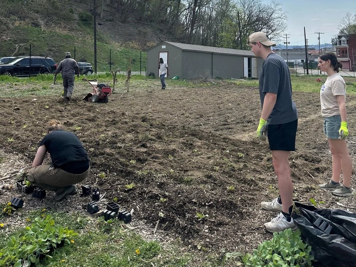 People planting seedlings in a cleared garden plot. Five people are working: one crouching planting seedlings, others standing with gardening gloves, and two working near a small shed in the background.