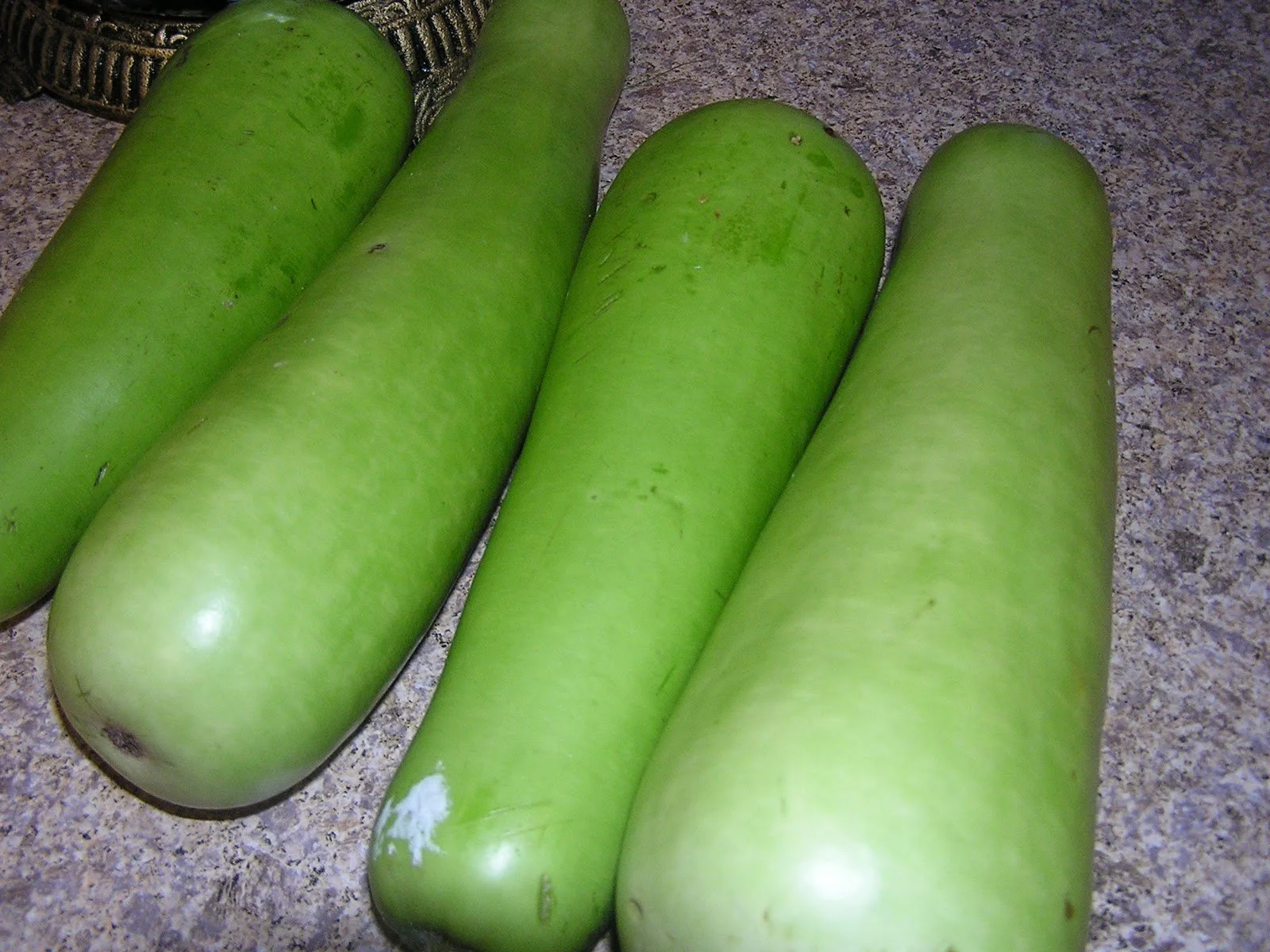 Somali Squash