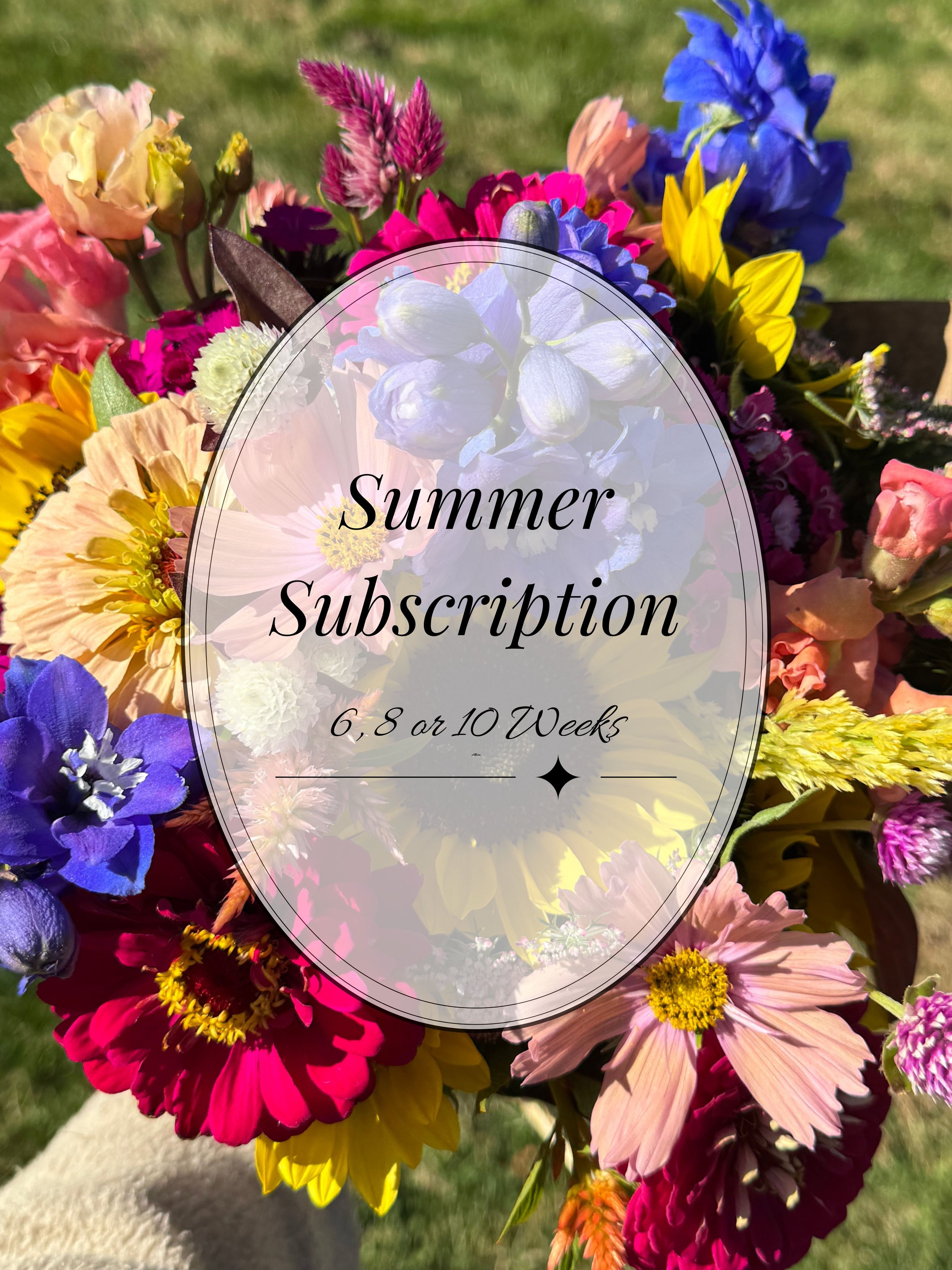 Summer Subscription | 6, 8 or 10 Weeks