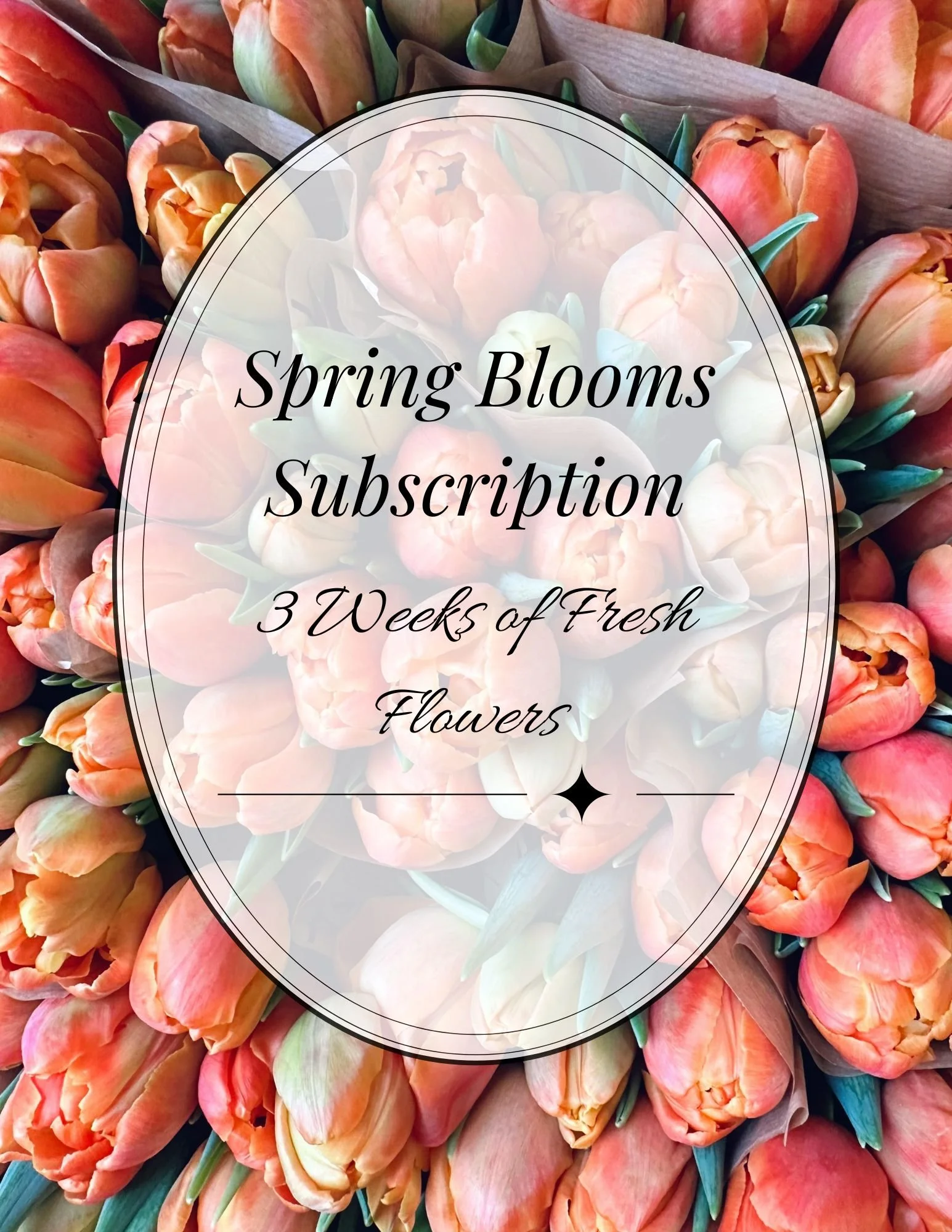 Spring Flower Subscription | 3 Weeks