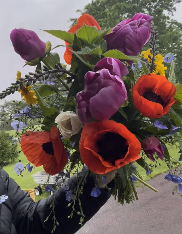 Screenshot 2026-01-17 at 9.24.11 PM.png