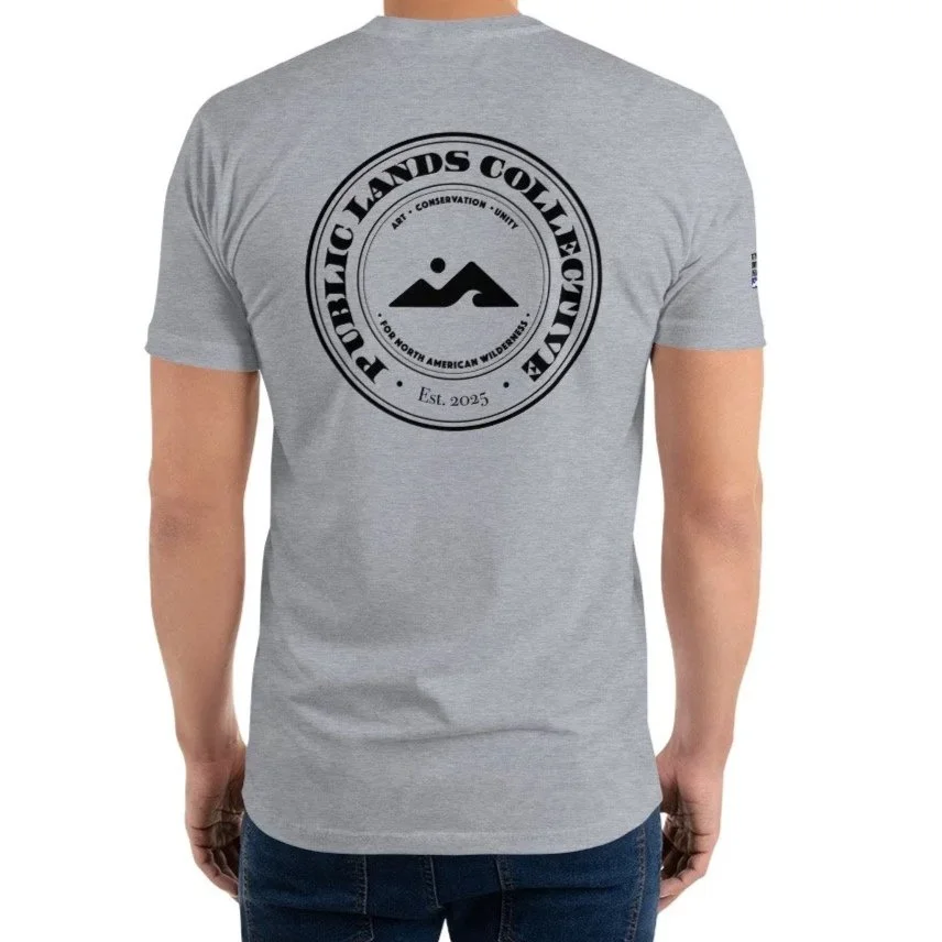 mens-fitted-t-shirt-heather-grey-back-6a6cec7dd4a93.jpg