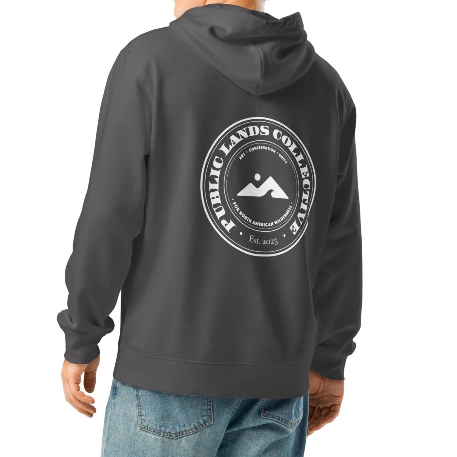 unisex-organic-mid-weight-drummer-2.0-hoodie-anthracite-back-6a6125efbebb1.jpg