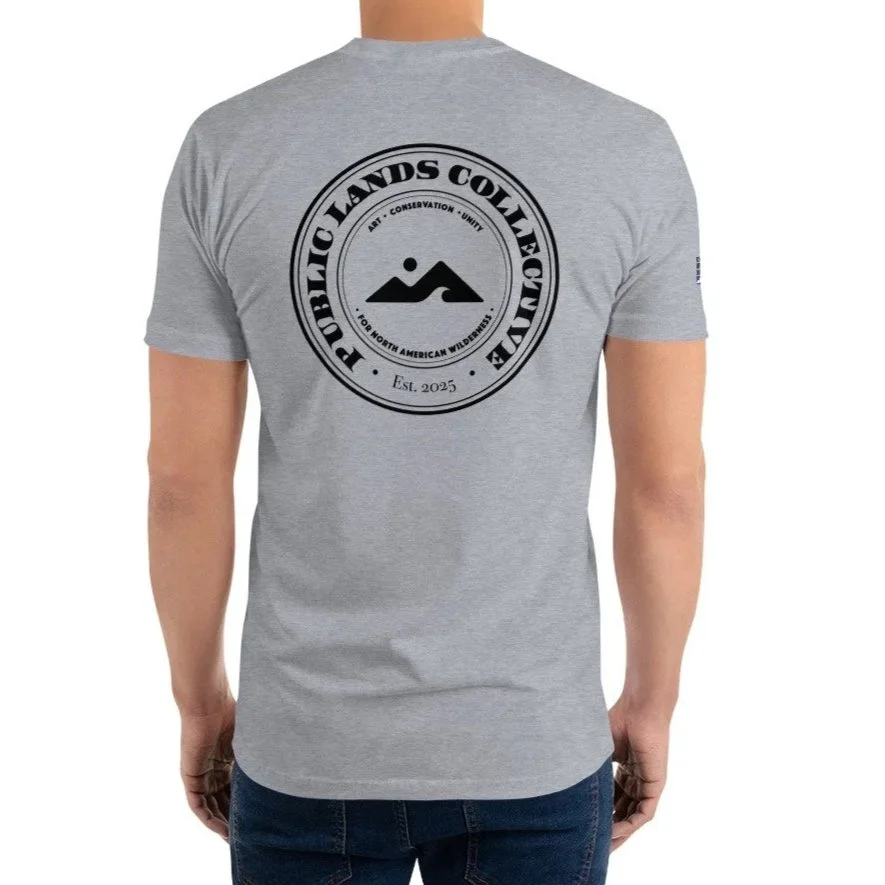 mens-fitted-t-shirt-heather-grey-back-6a6cea54d75e9.jpg