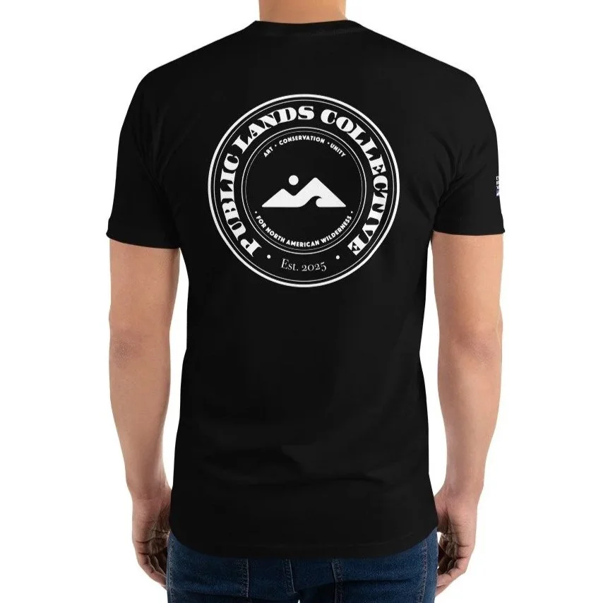 mens-fitted-t-shirt-black-back-6a60124b0a455.jpg