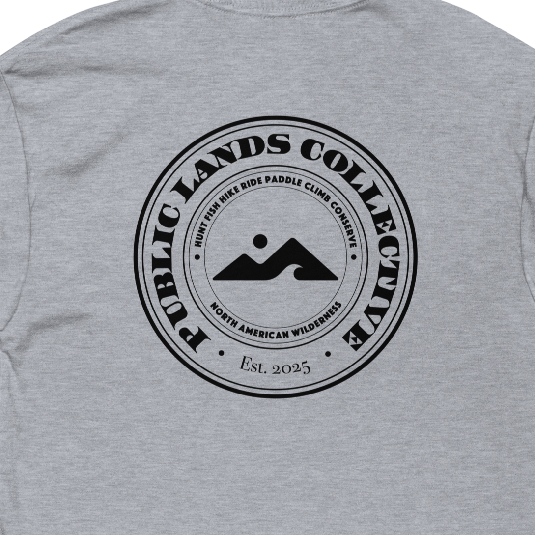 mens-fitted-t-shirt-heather-grey-back-6a7df76f1664d.png