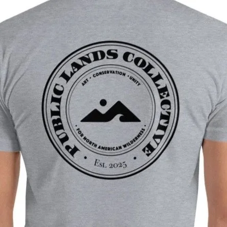mens-fitted-t-shirt-heather-grey-back-6a6cea54d75e9.jpg