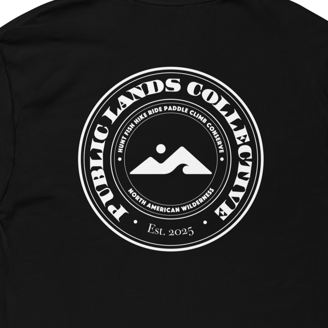 mens-fitted-t-shirt-black-back-6a7df0ad3e58f.png