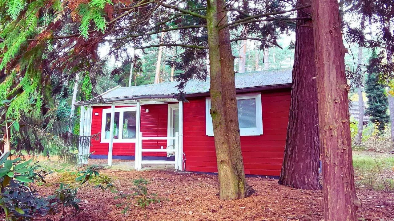 Ferienhaus Strandperle zwischen Kiefern und Tannen