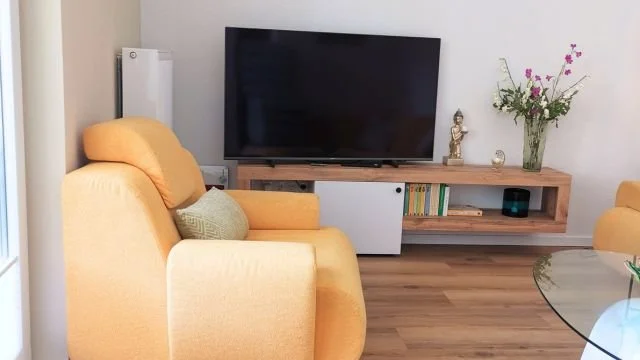 wohnbereich-mit-sessel-und-fernseher-ferienhaus-sonnentraum.jpg