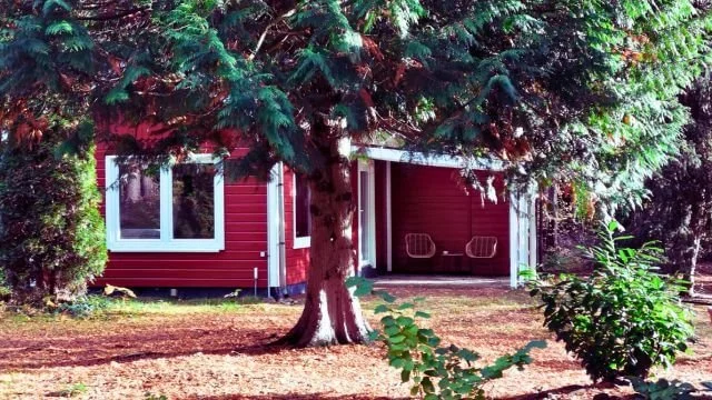 Ferienhaus Strandperle mit Kiefer