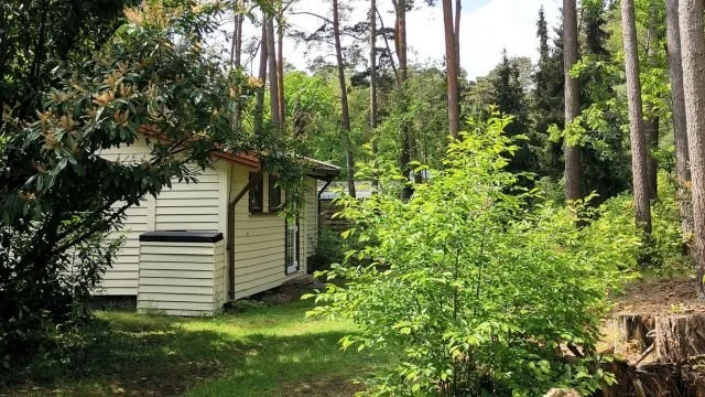 aussenansicht-mit-naturblick-ferienhaus-auszeit.jpg