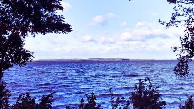 Blick durch Bäume auf Steinhuder Meer