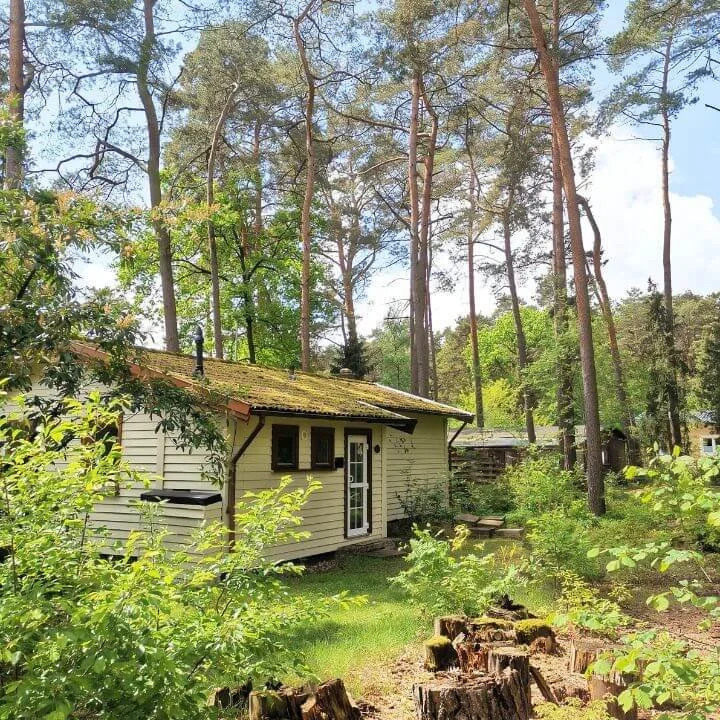 Ferienhaus Auszeit Aussenansicht Eingangsbereich