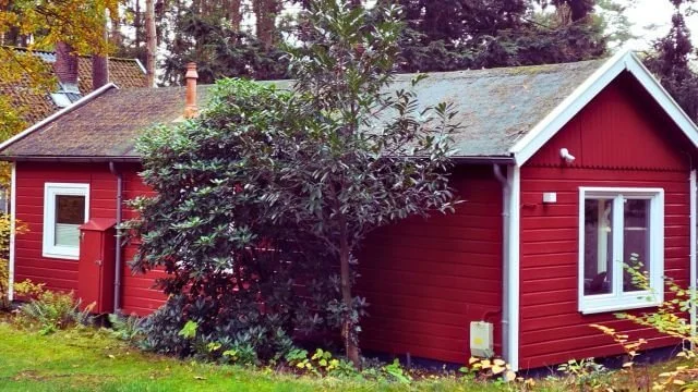 Ferienhaus Strandperle hintere Ansicht