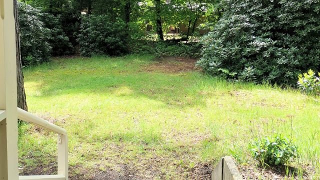eingangsbereich-mit-naturblick-ferienhaus-auszeit.jpg