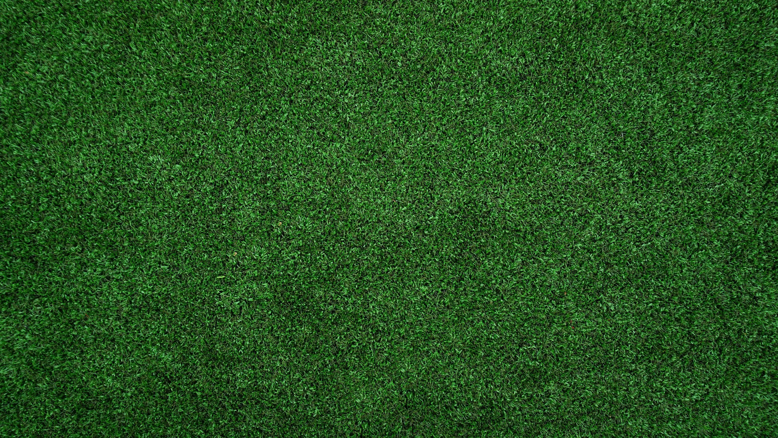 Close-up of green artificial grass or turf.