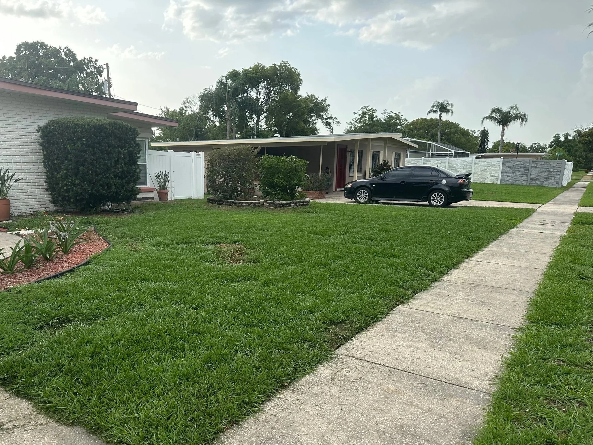 Front yard of a house with a concrete sidewalk, green grass, bushes, potted plants, and a black car parked in the driveway.