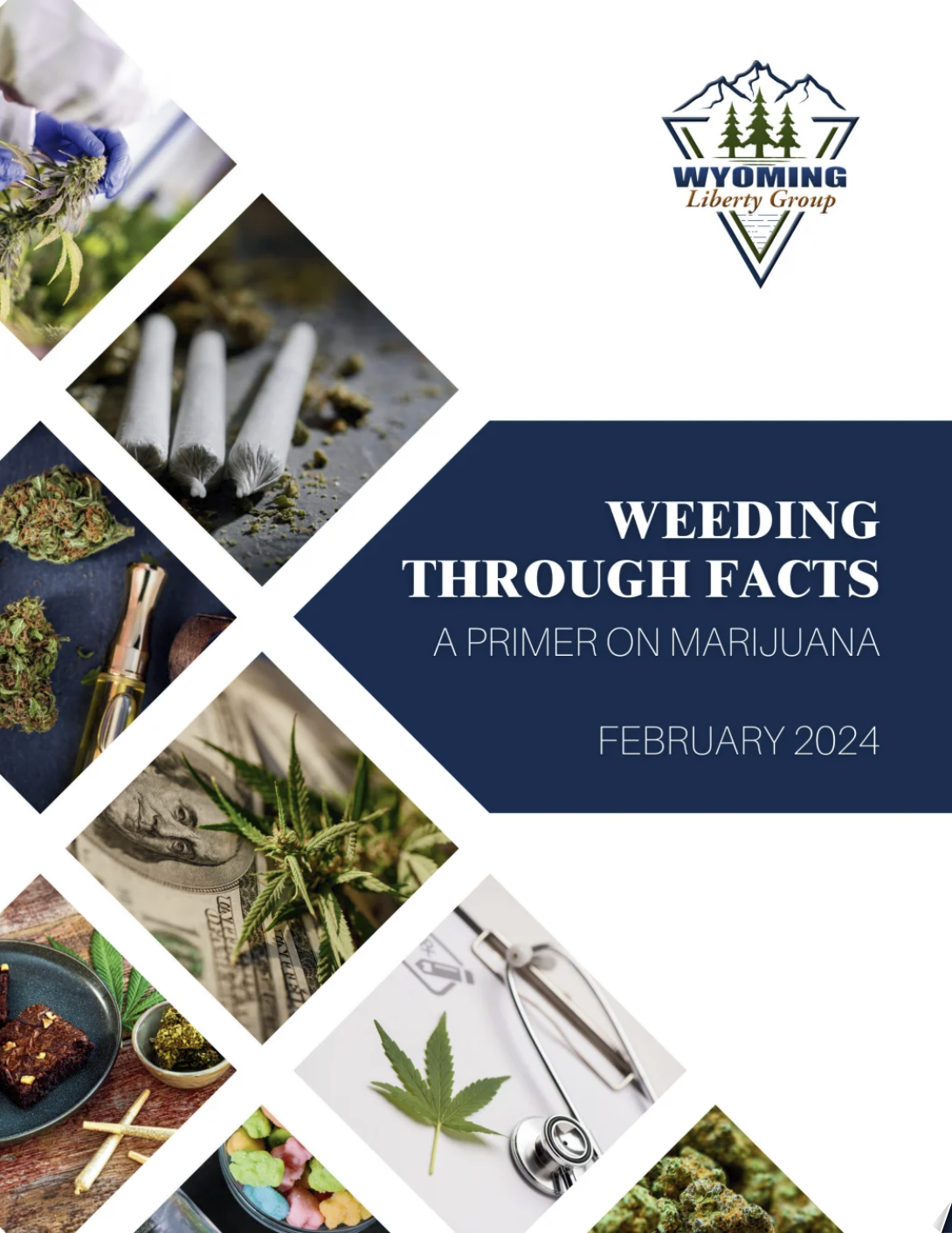 Weeding Through Facts: A Primer on Marijuana - Tuesday, 13 February 2024