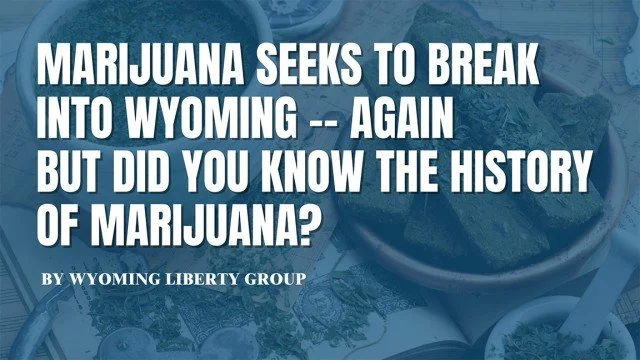 Marijuana Seeks to Break into Wyoming — Again. But Did You Know The Secret History Of Marijuana? - Friday, 19 January 2024