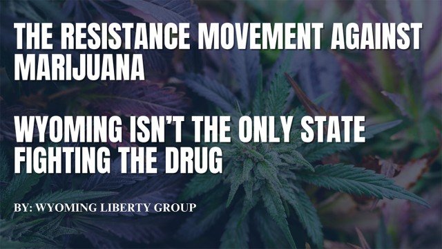 The Resistance Movement Against Marijuana - Wyoming Isn’t The Only State Fighting The Drug - Tuesday, 09 July 2024