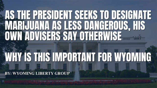 As The President Seeks To Designate Marijuana As Less Dangerous, His Own Advisers Say Otherwise - Why This Is Important For Wyoming - Wednesday, 07 August 2024
