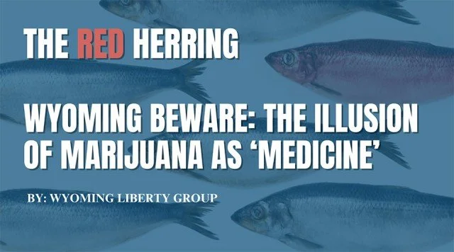 The Red Herring - Wyoming Beware: The Illusion Of Marijuana As ‘Medicine’ - Friday, 26 January 2024
